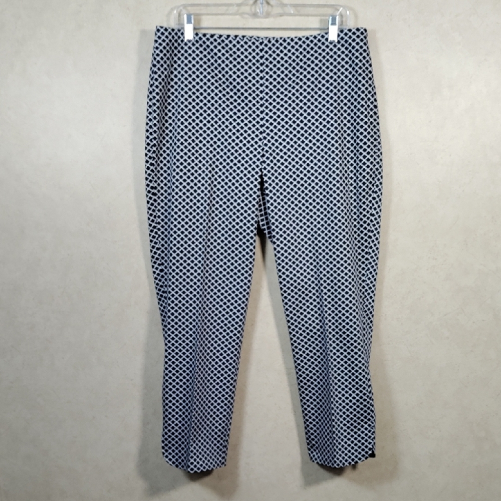 04144 Talbots indigo & white side zip Heritage Cropped Slacks 10